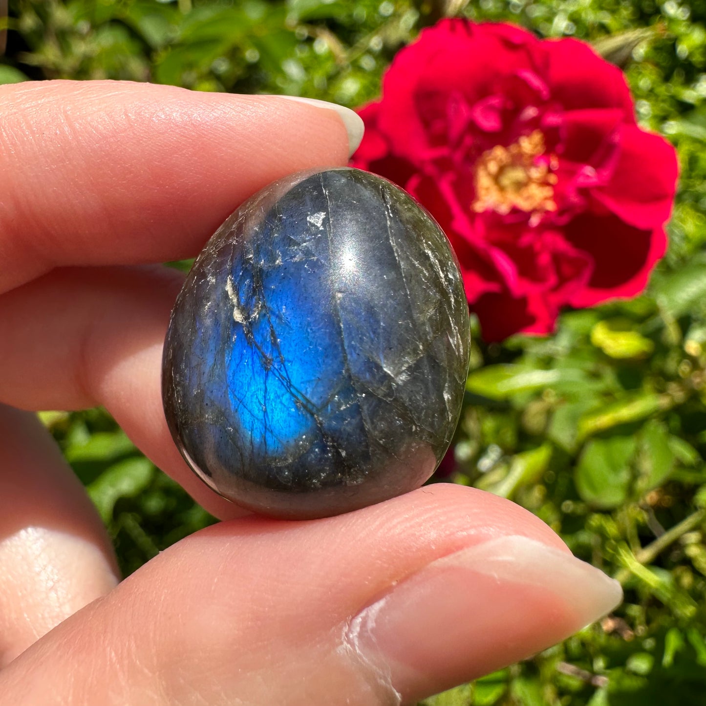 Labradorite