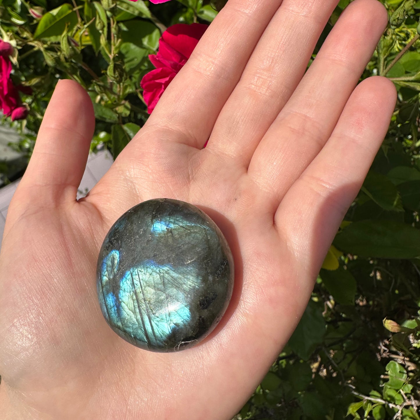 Labradorite Palm Stone