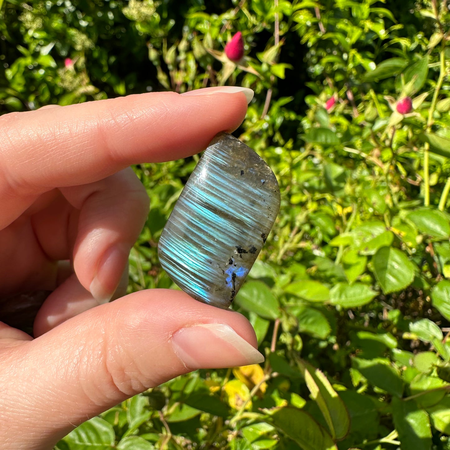 Labradorite Cabochons