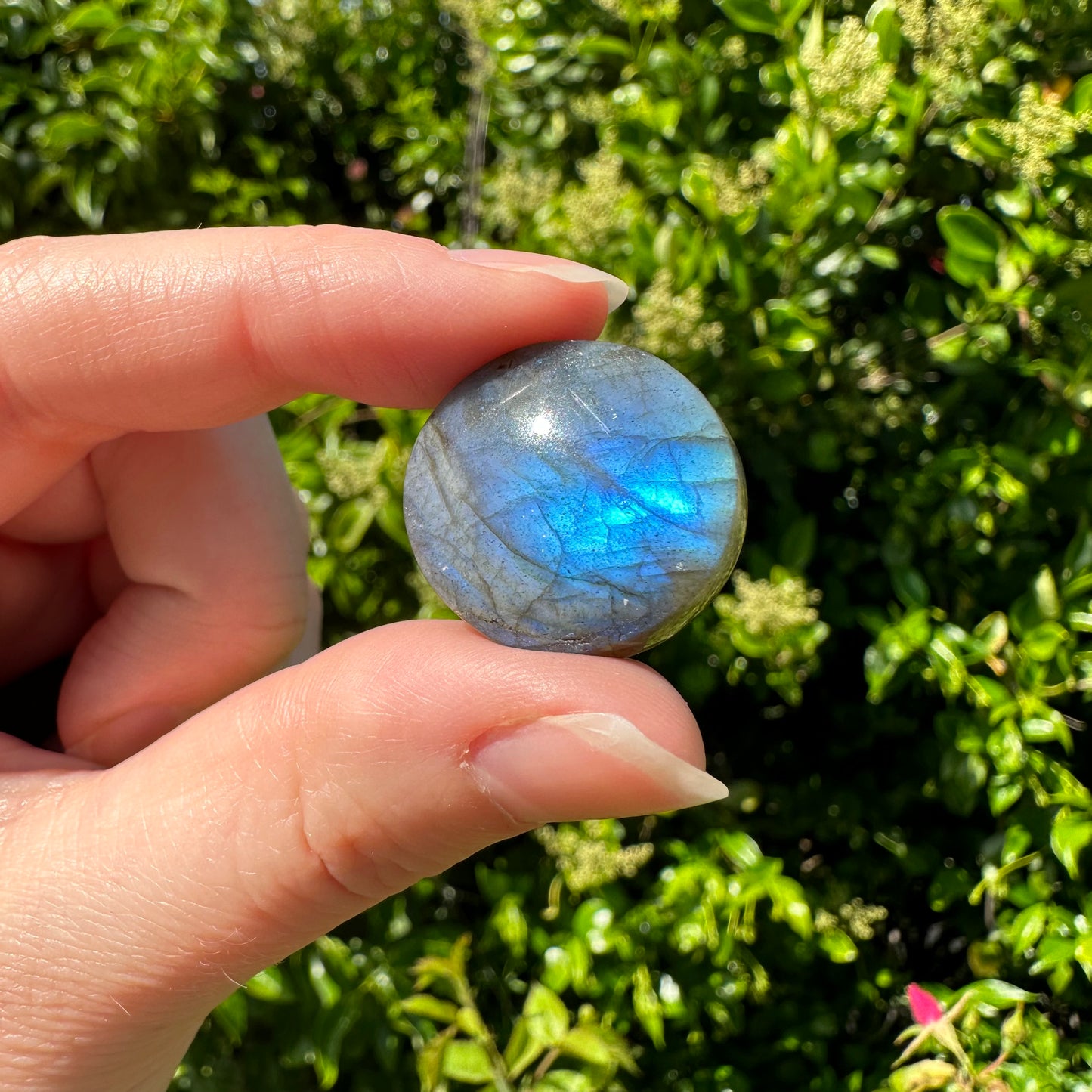 Labradorite Cabochons