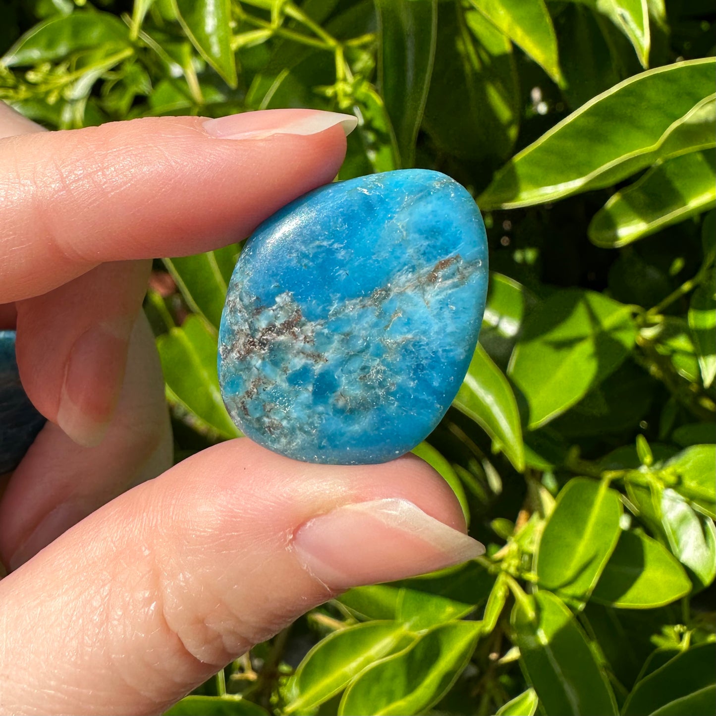 Blue Apatite