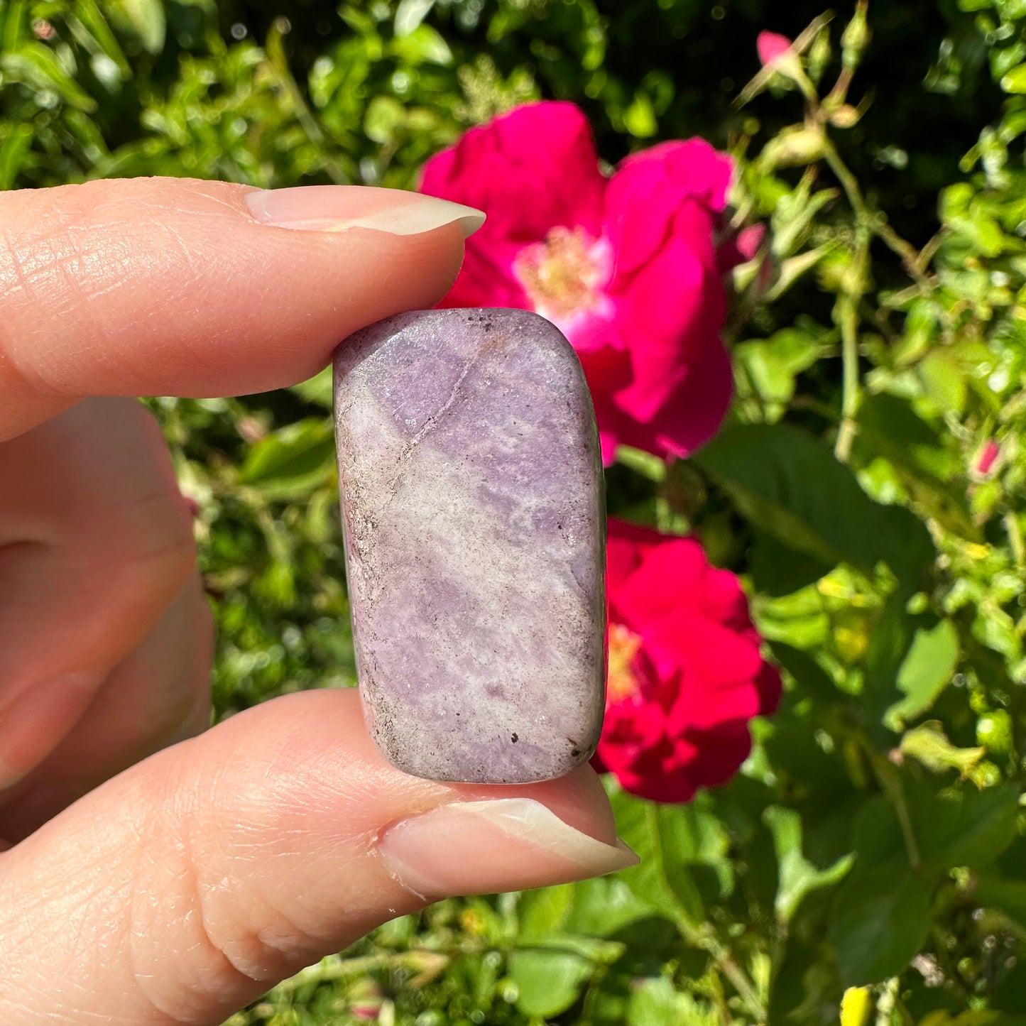 Lepidolite Tumbled