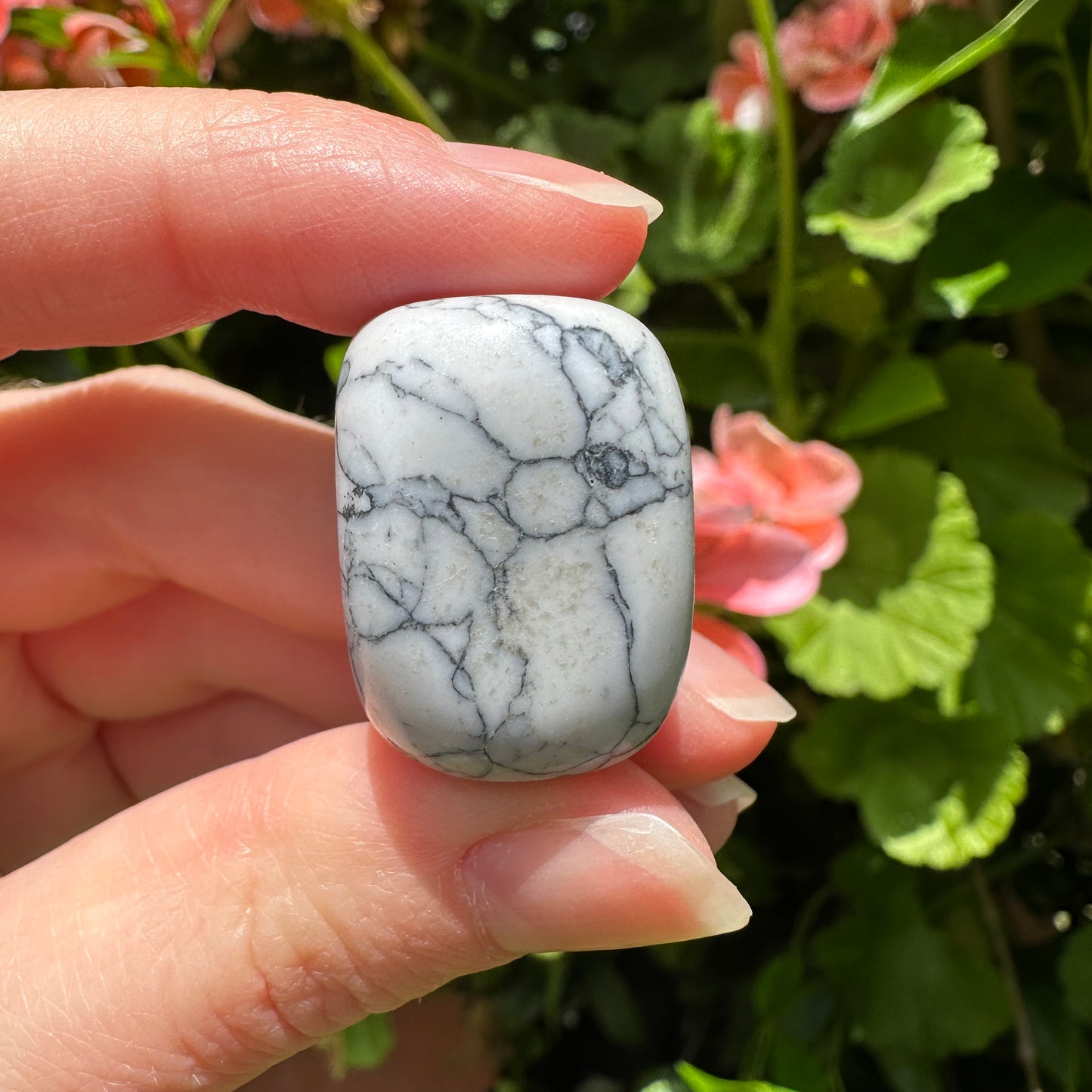 Howlite