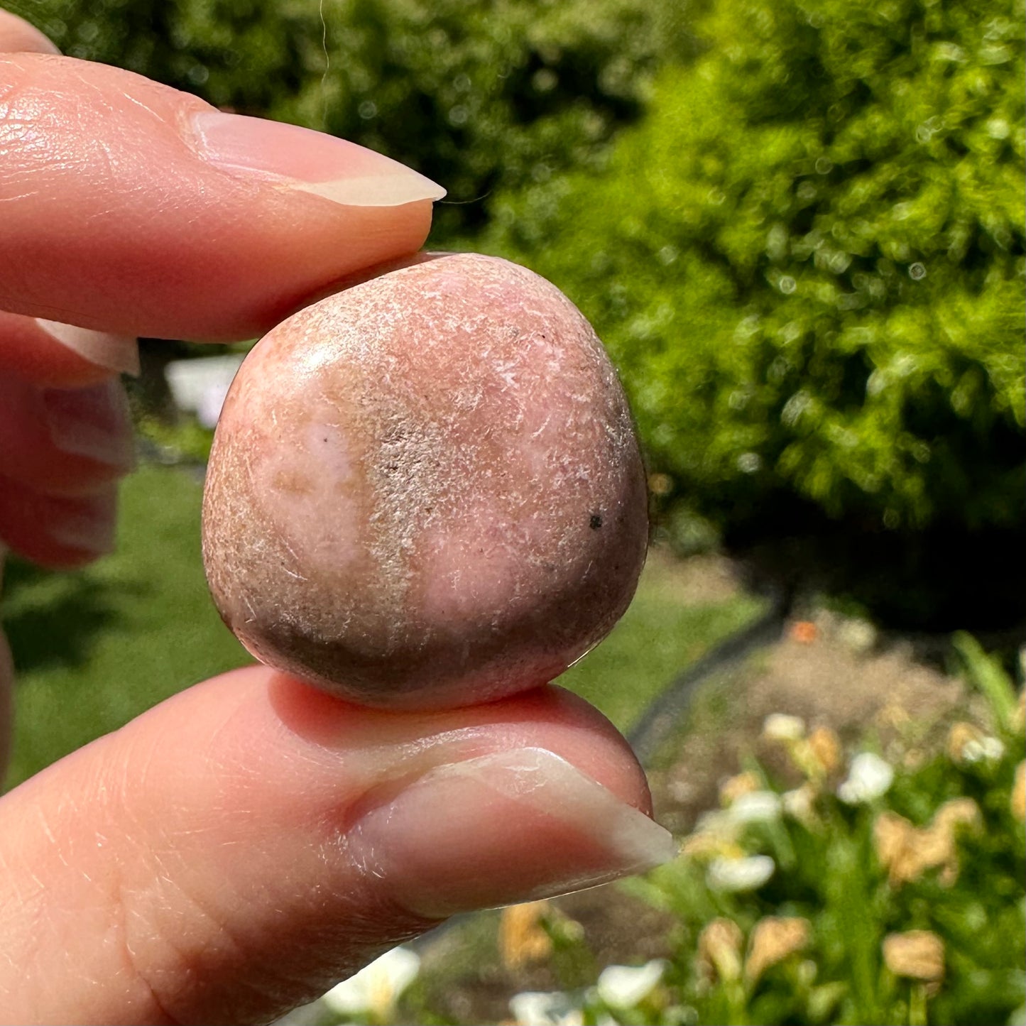 Rhodonite