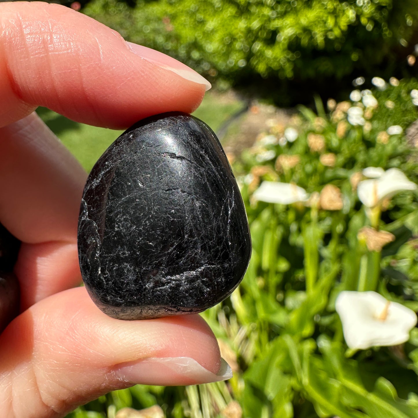 Black Tourmaline