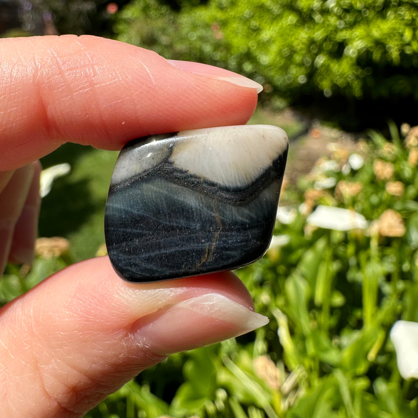 Blue Tiger's Eye