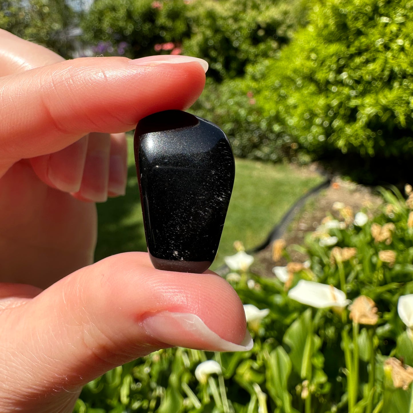 Black Obsidian