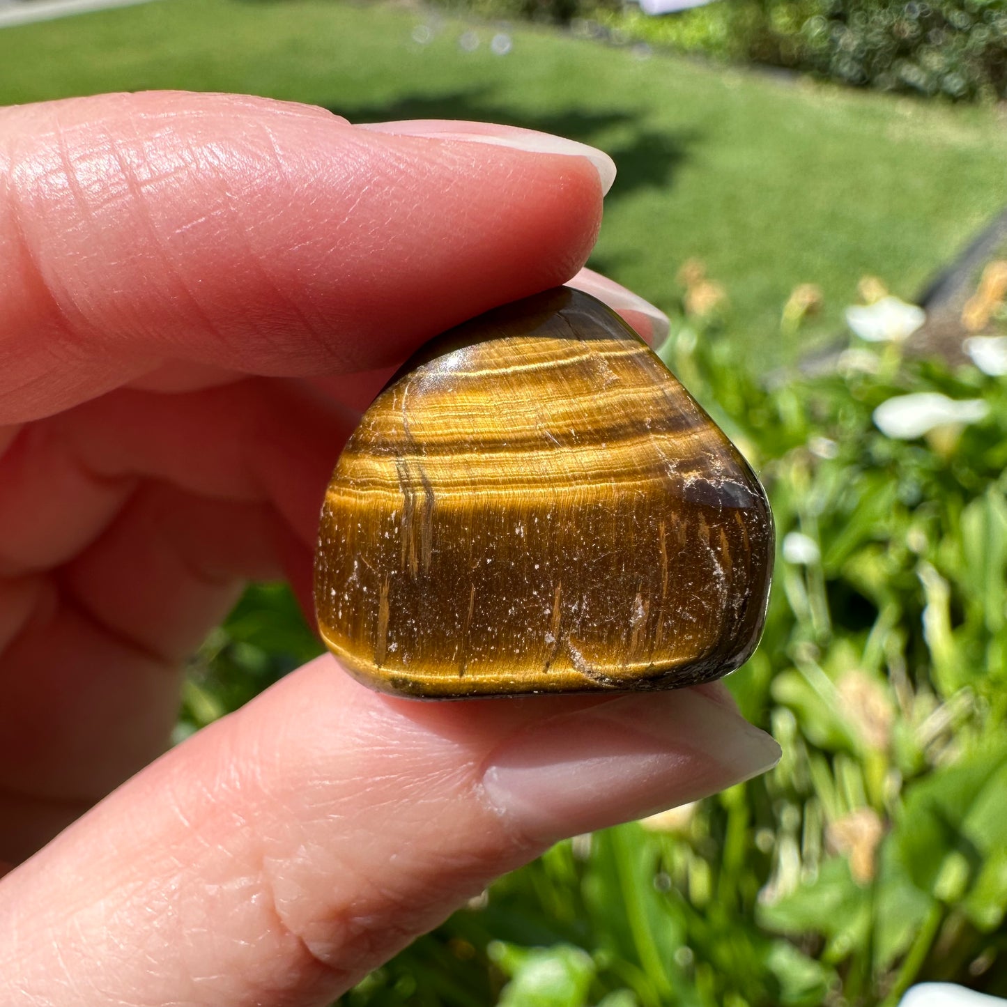 Tiger Eye