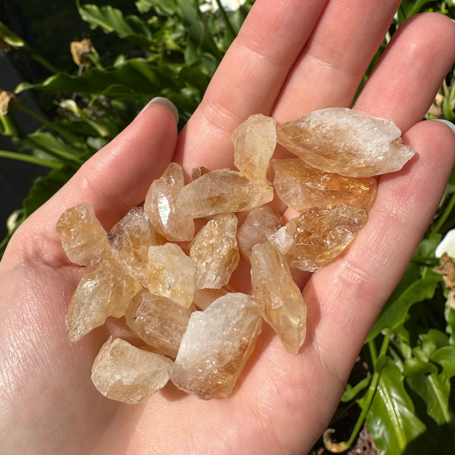 Citrine