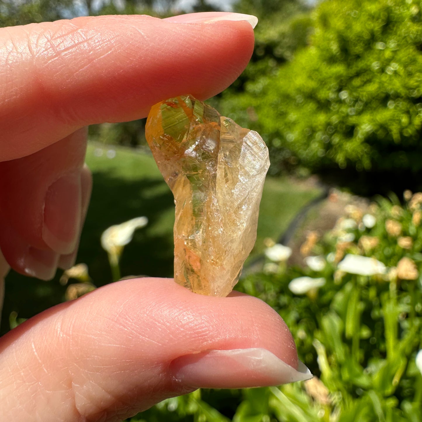 Citrine