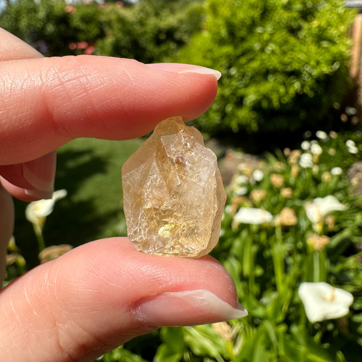 Citrine