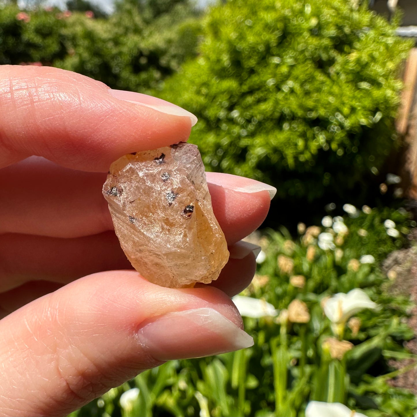 Citrine