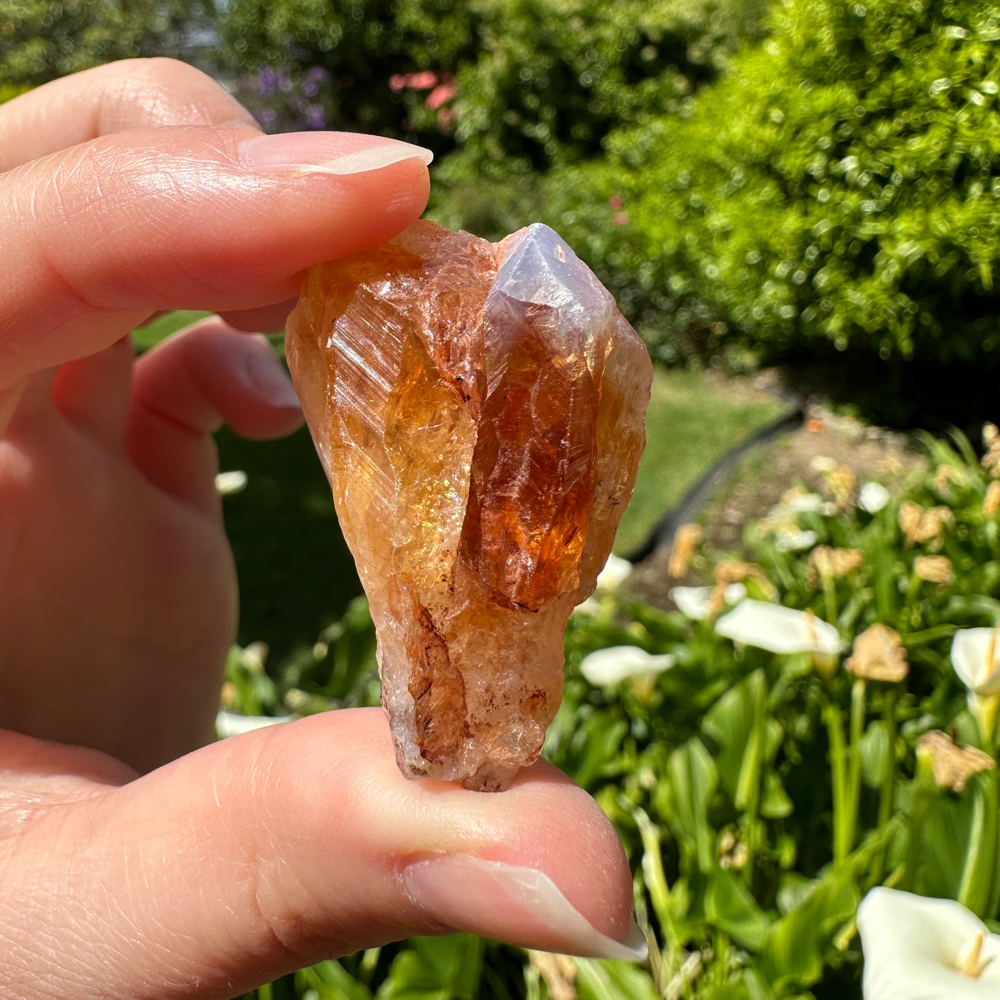 Citrine