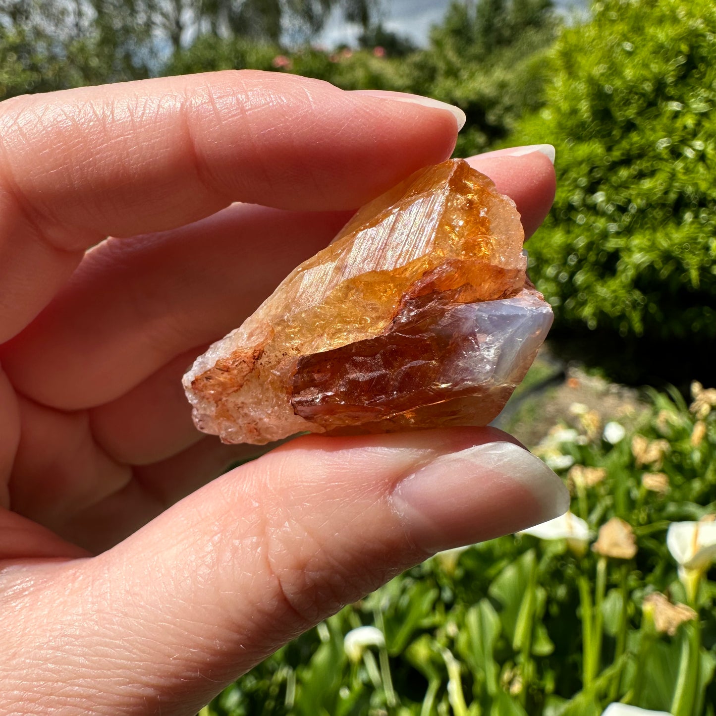 Citrine