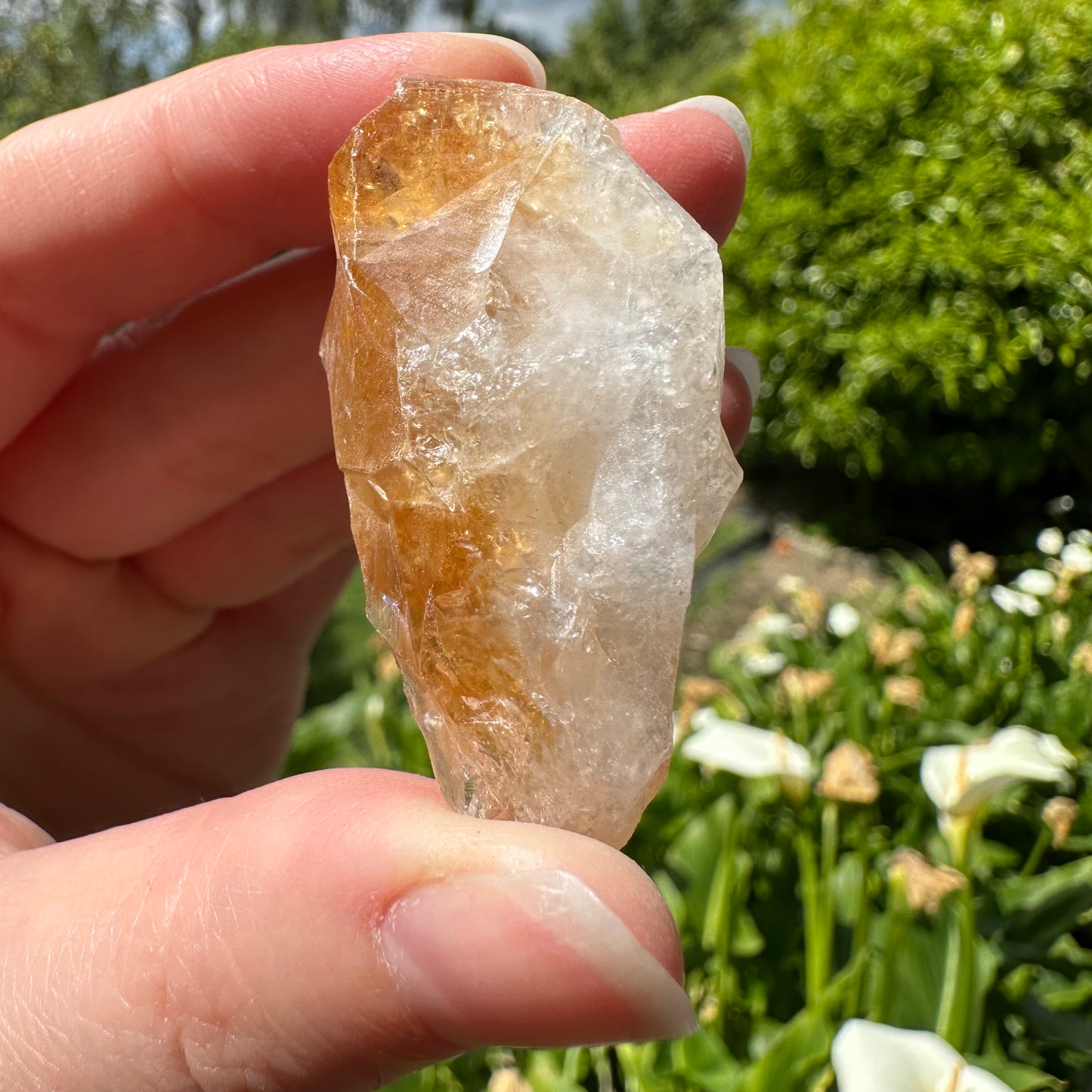 Citrine