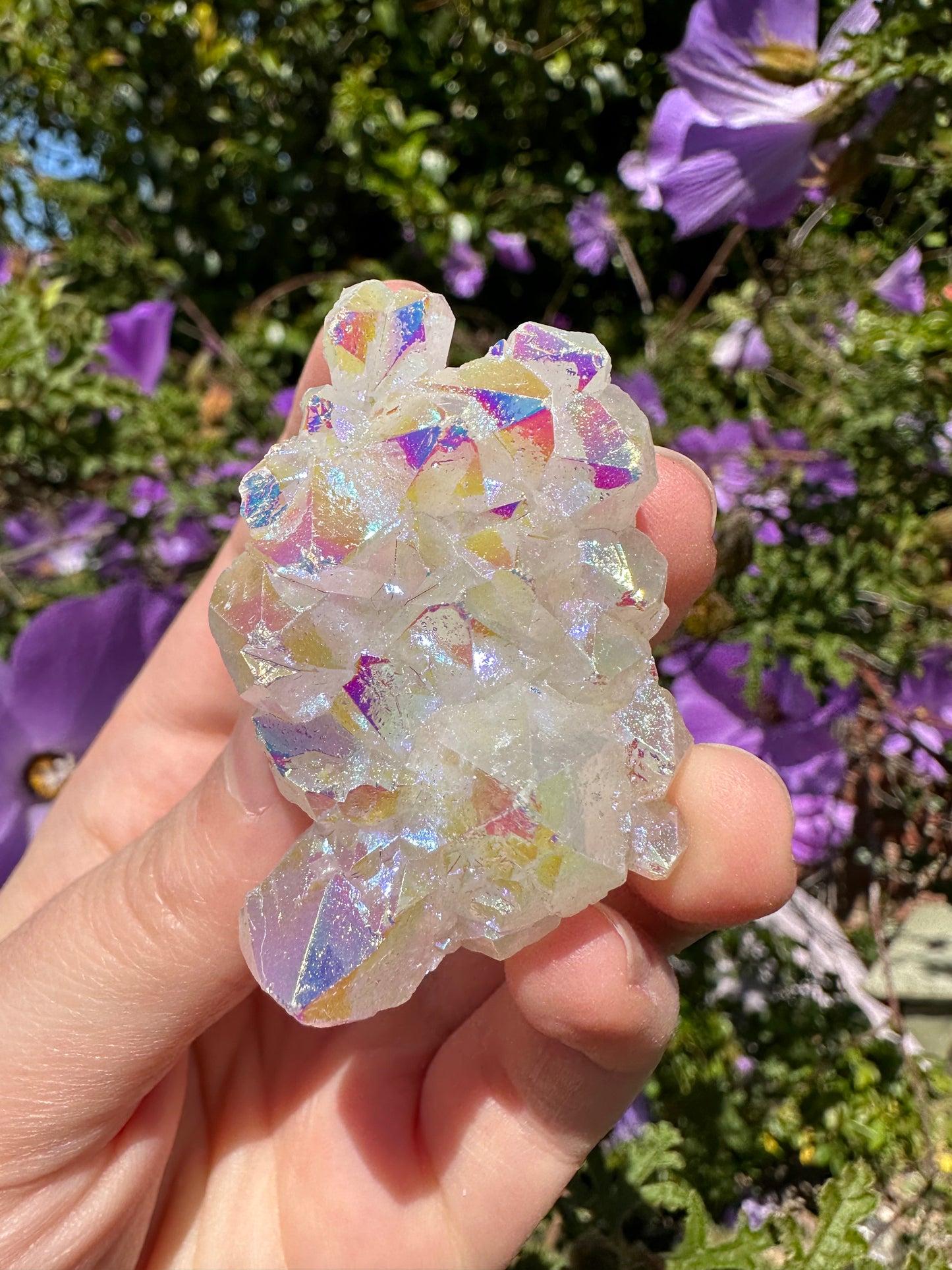Angel Aura Quartz Cluster