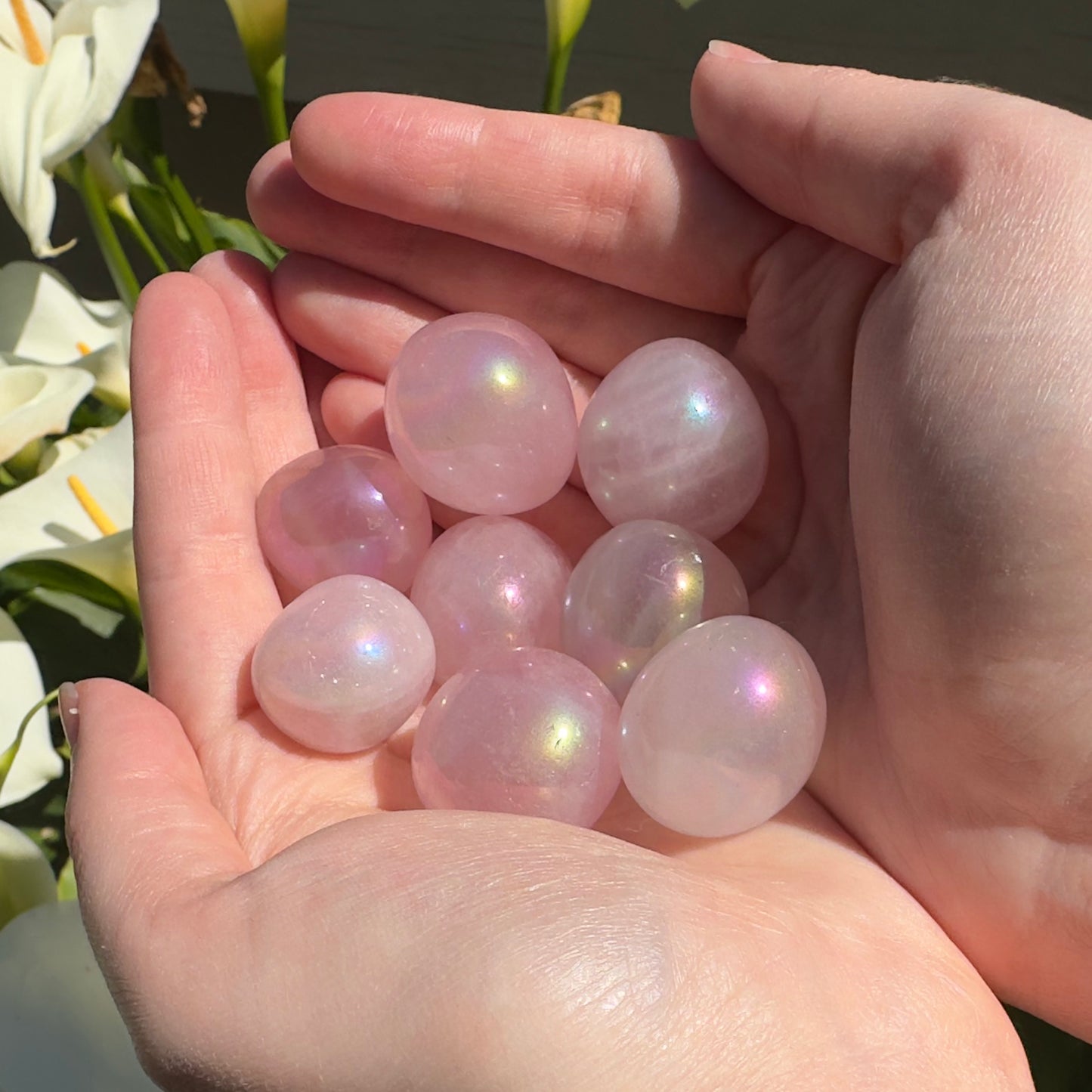 Angel Aura Rose Quartz