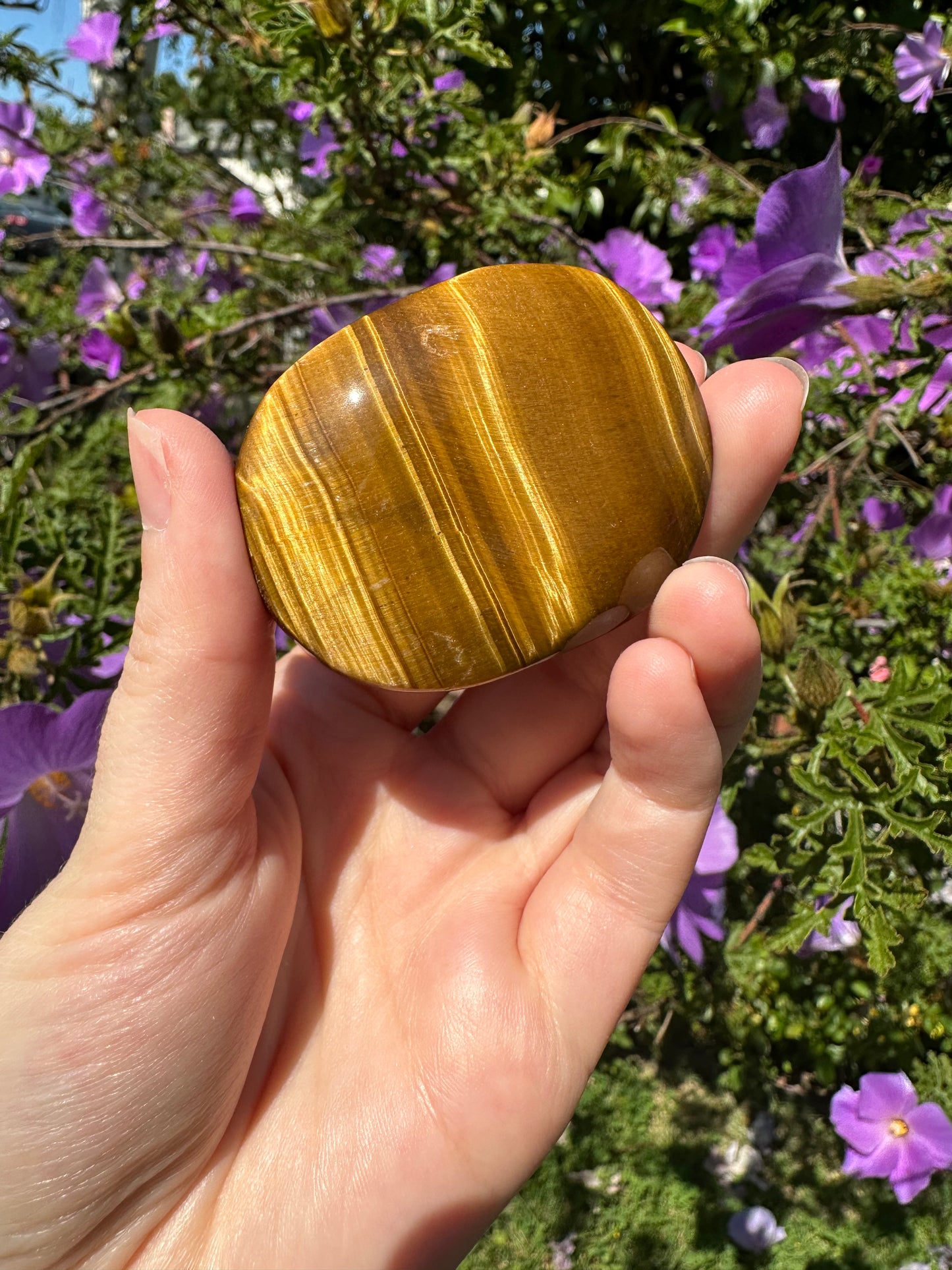 Tiger Eye Palm Stone