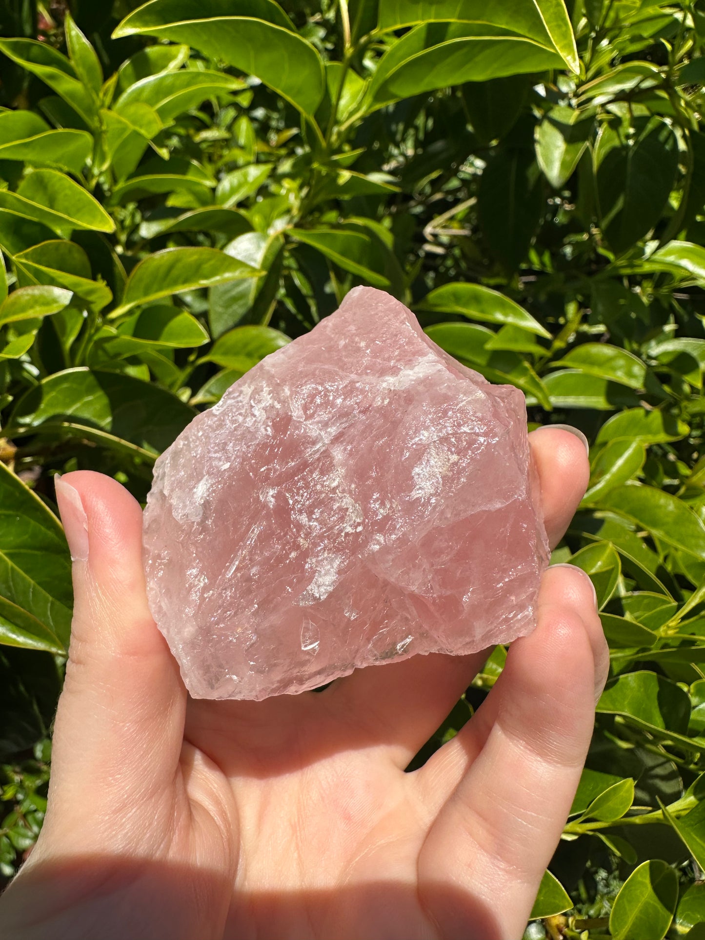 Raw Rose Quartz