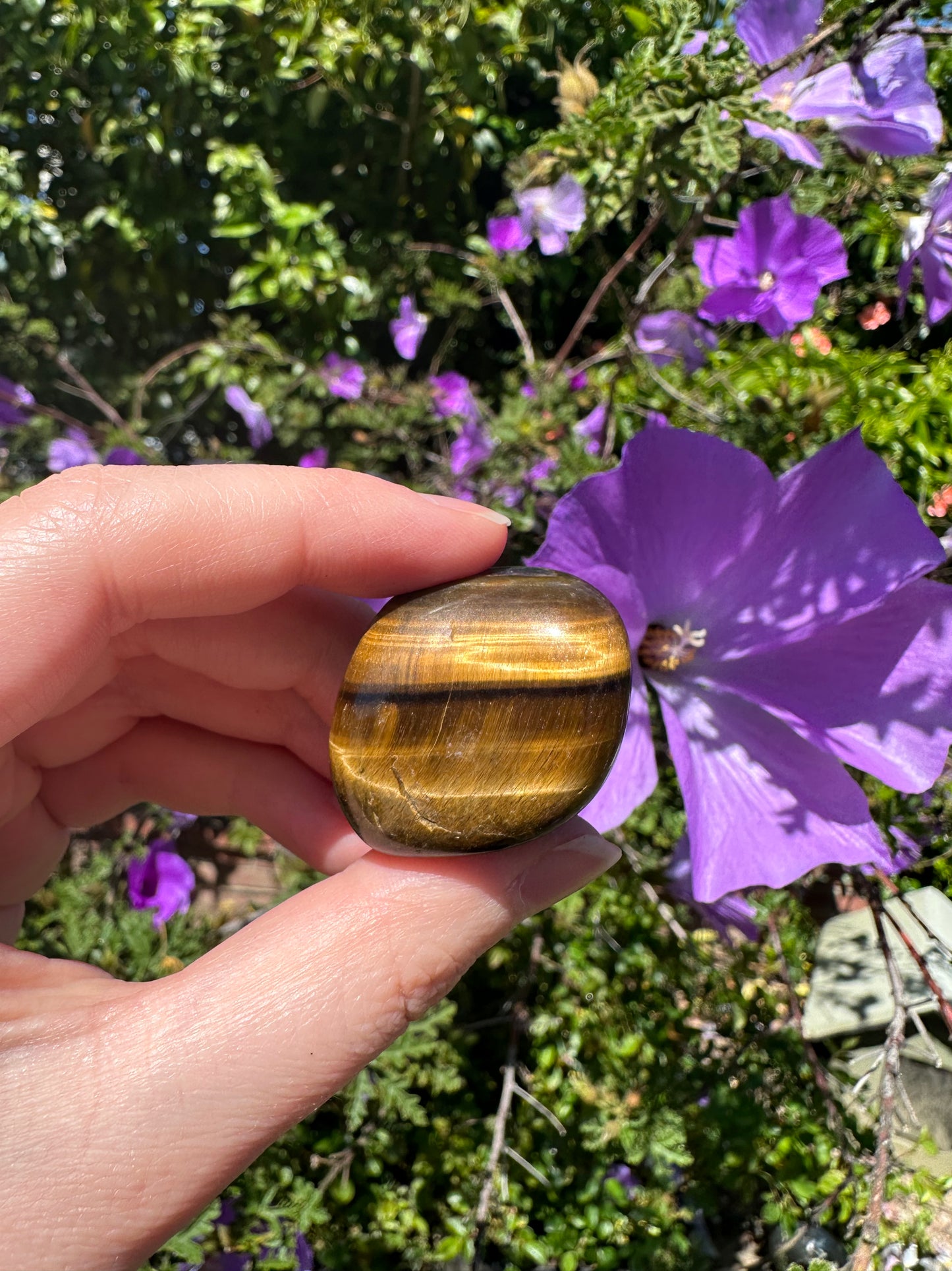 Golden Tiger's Eye