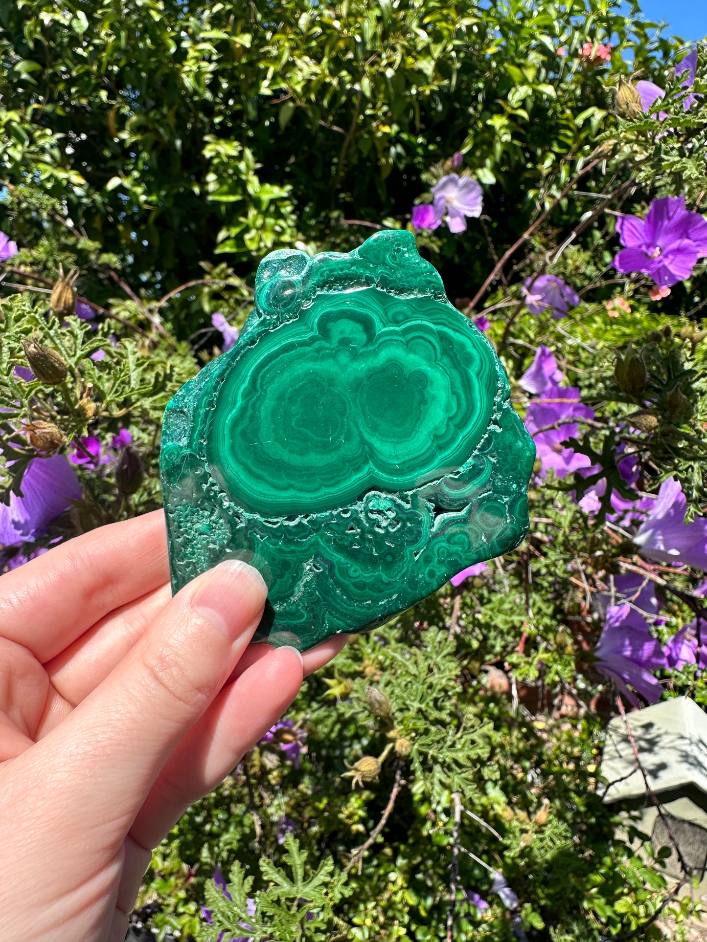 Malachite (Polished Slices)