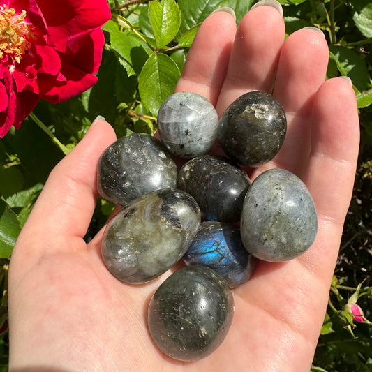 Labradorite