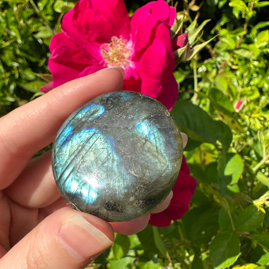 Labradorite Palm Stone