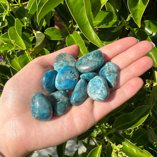 Blue Apatite
