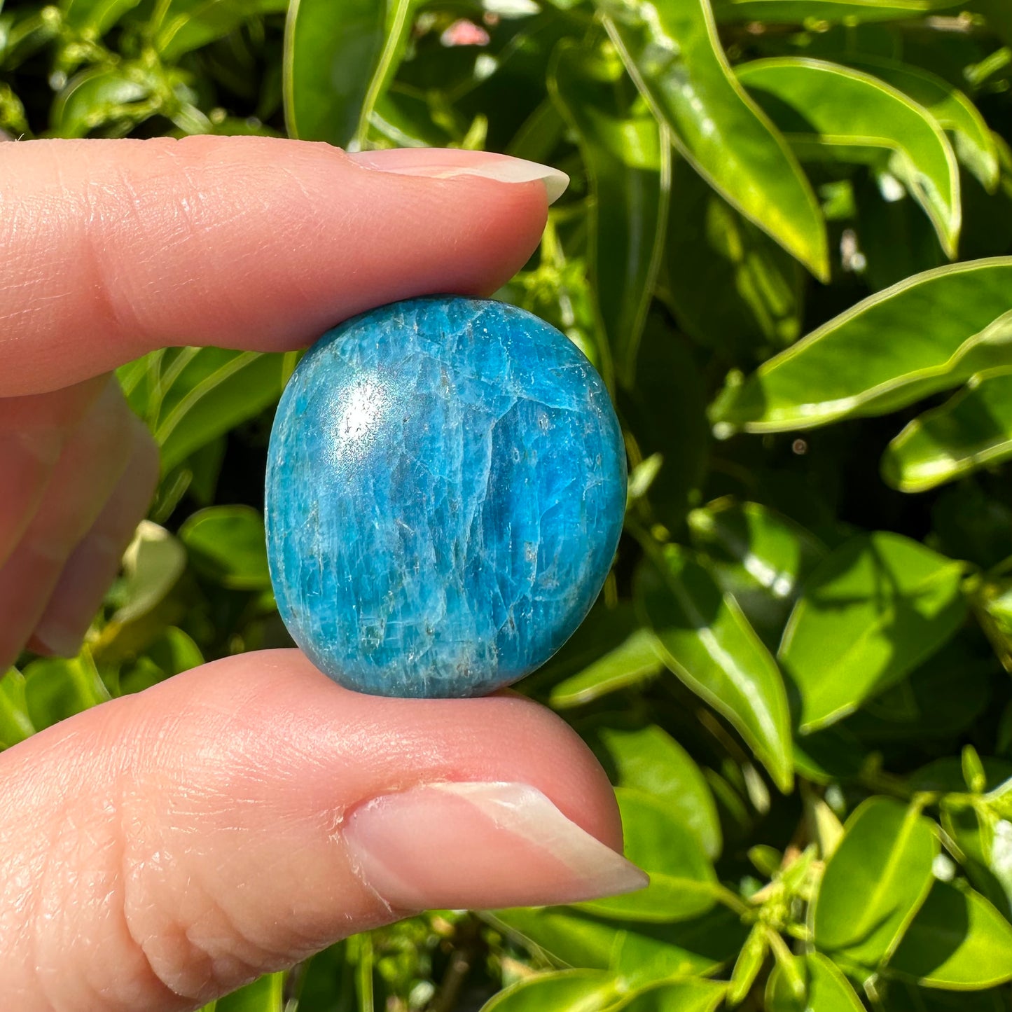 Blue Apatite