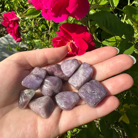 Lepidolite Tumbled