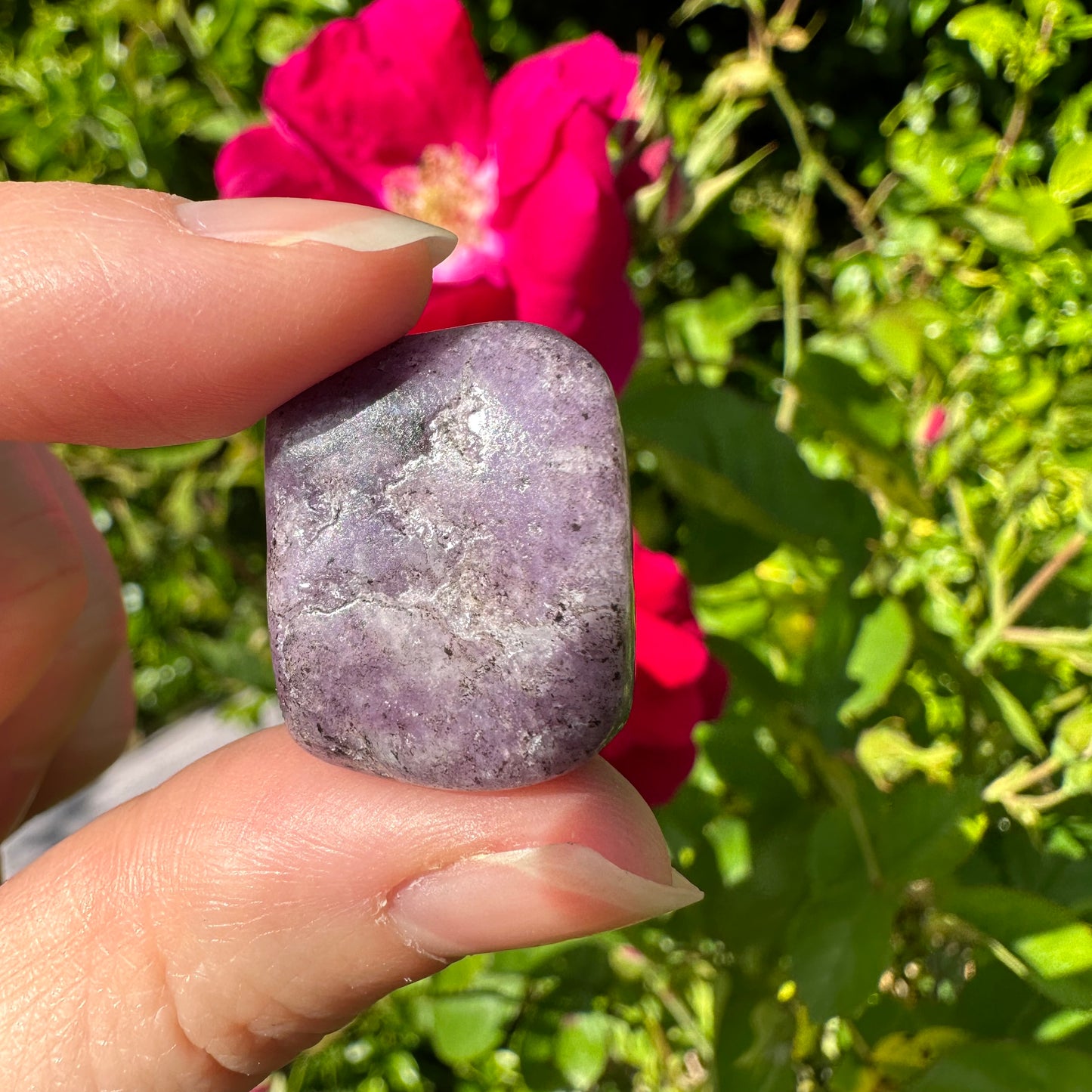 Lepidolite Tumbled