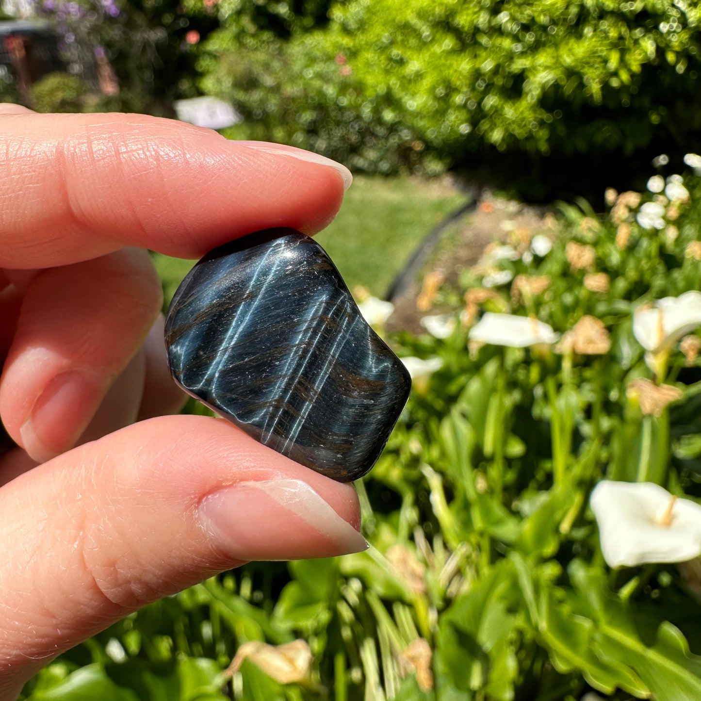 Blue Tiger's Eye