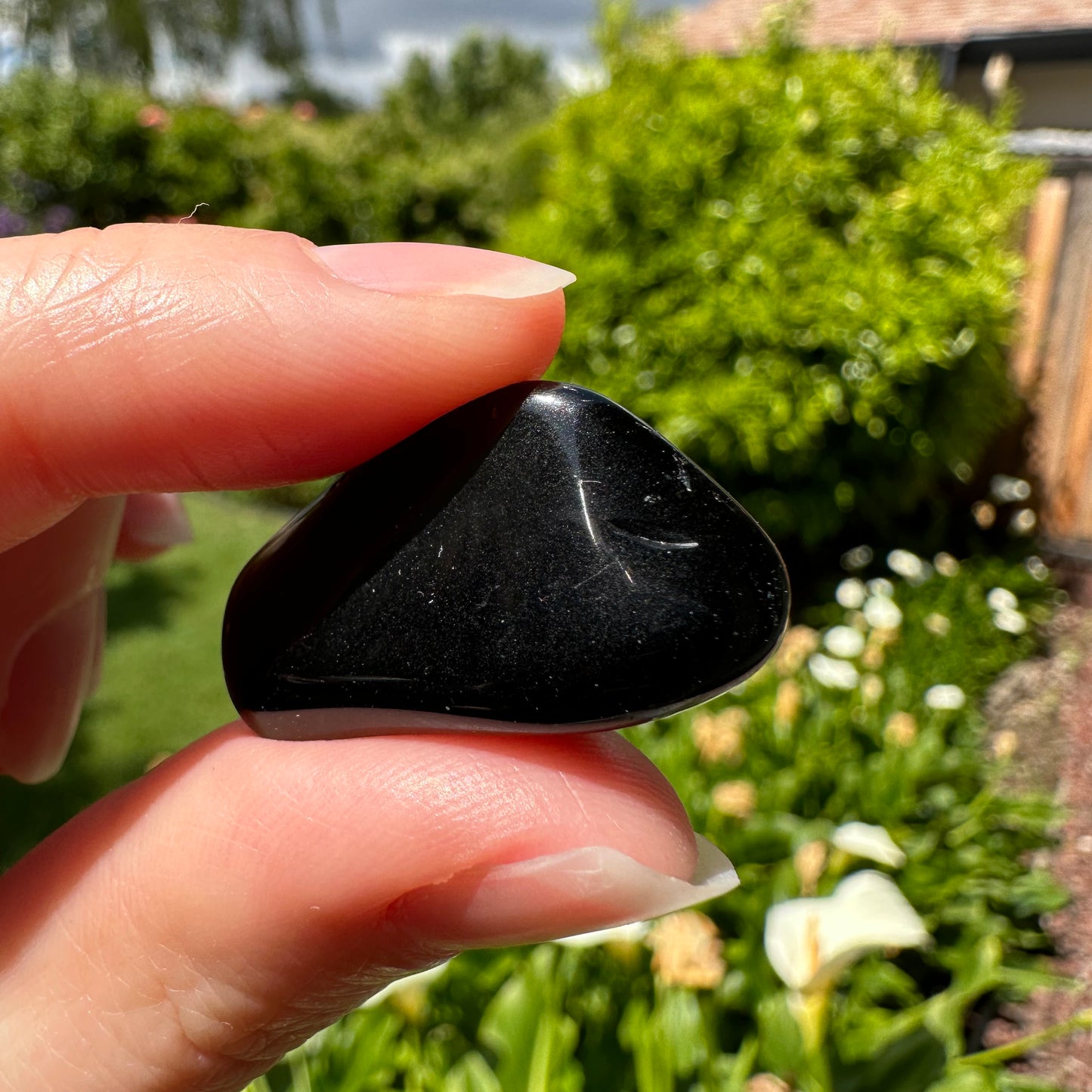Black Obsidian