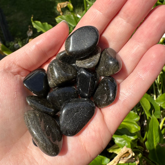 Gold Sheen Obsidian