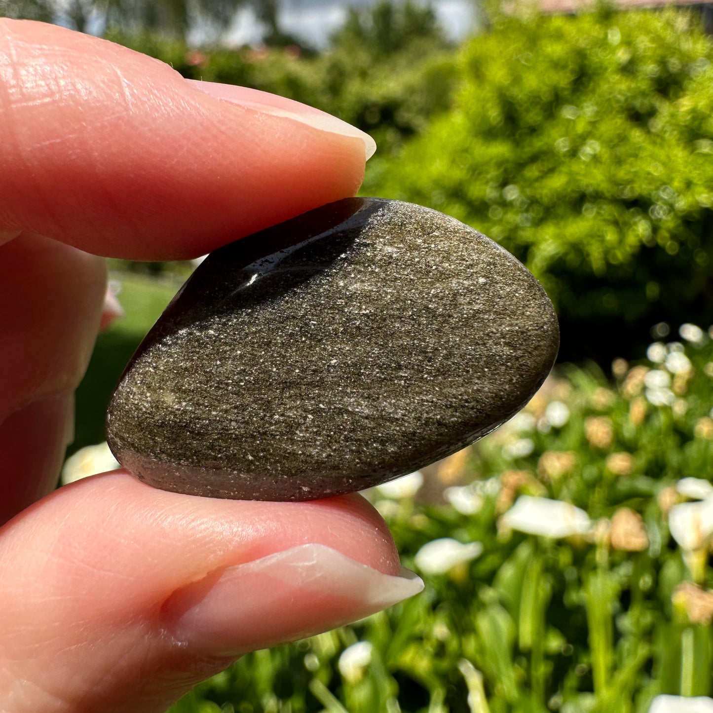 Gold Sheen Obsidian