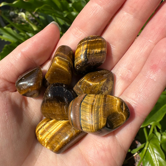 Tiger Eye