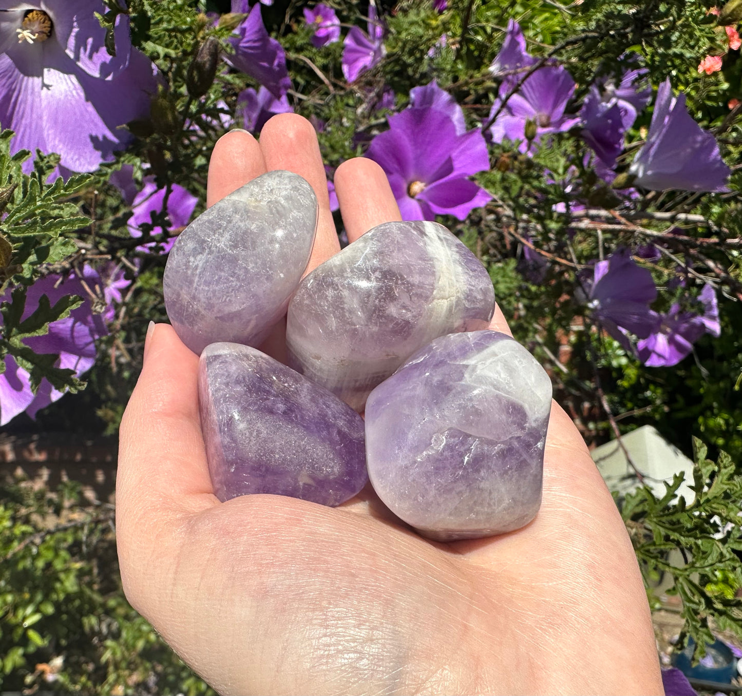 Banded Amethyst