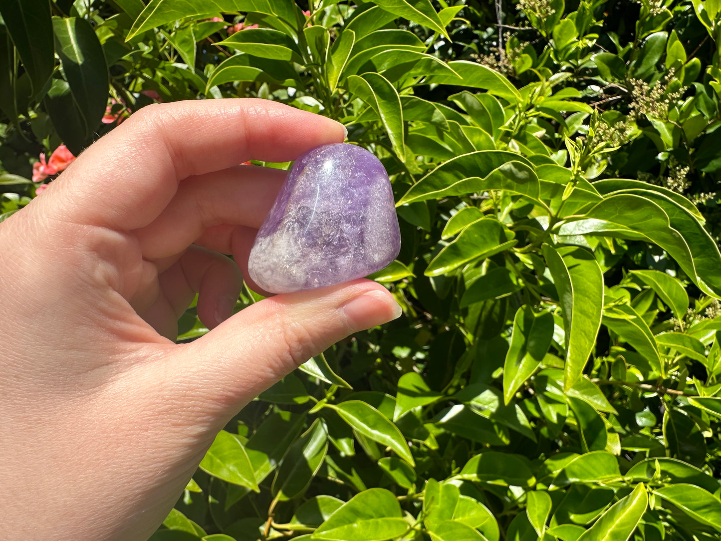 Banded Amethyst