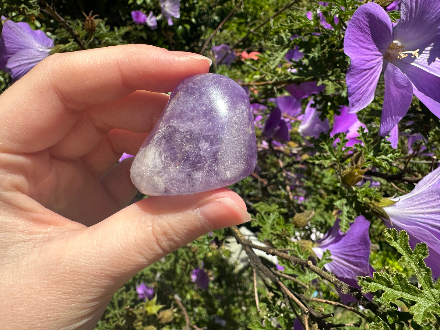 Banded Amethyst