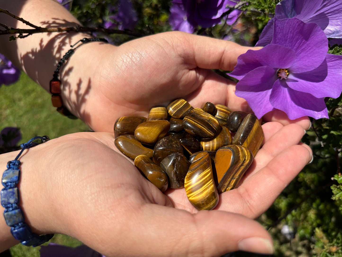 Golden Tiger's Eye