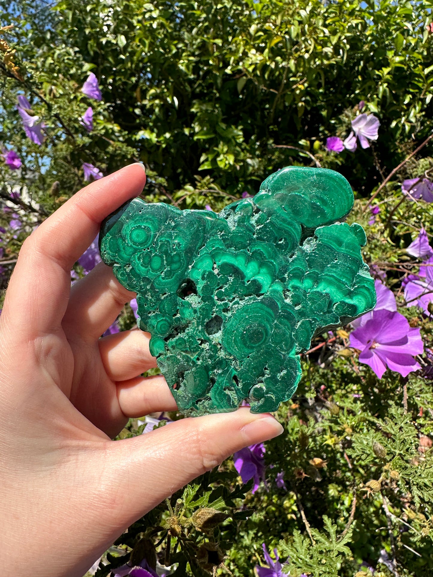 Malachite (Polished Slices)