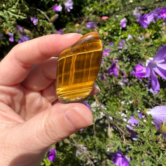 Golden Tiger's Eye